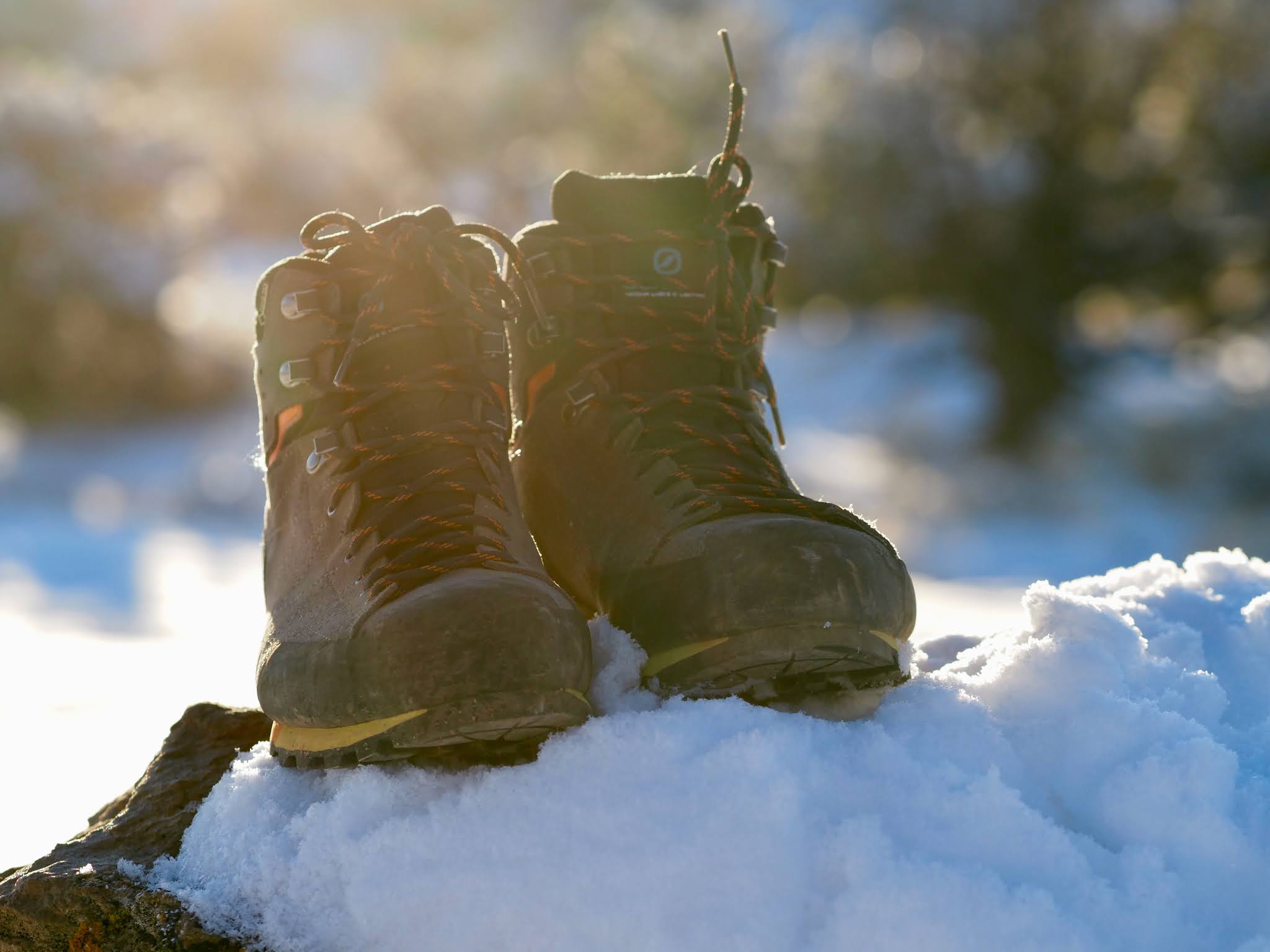 Zodiac 2025 plus gtx